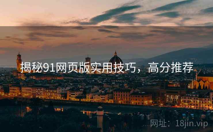 揭秘91网页版实用技巧，高分推荐