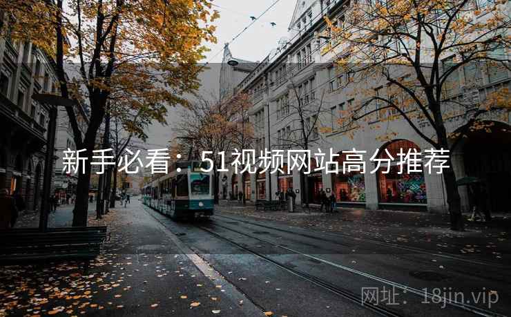 新手必看：51视频网站高分推荐