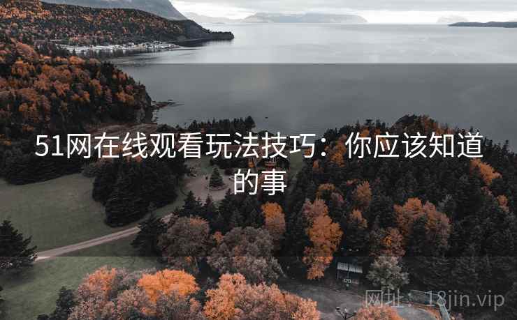 51网在线观看玩法技巧：你应该知道的事