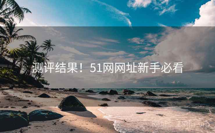 测评结果！51网网址新手必看