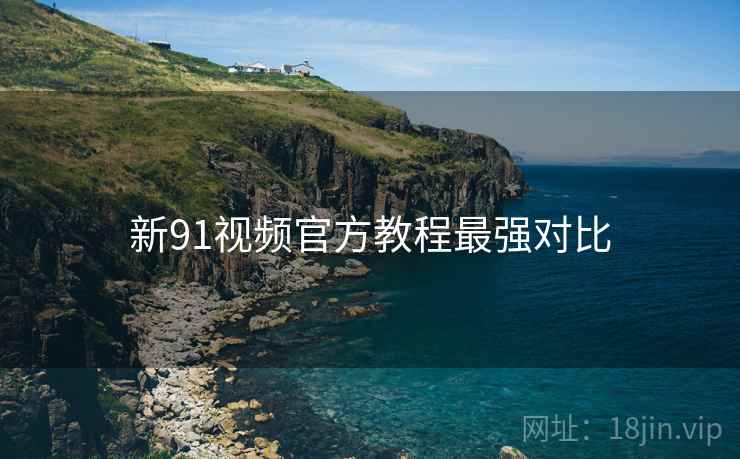 新91视频官方教程最强对比