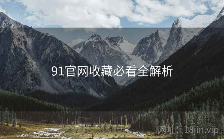 91官网收藏必看全解析