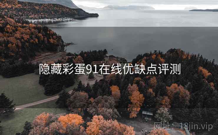 隐藏彩蛋91在线优缺点评测