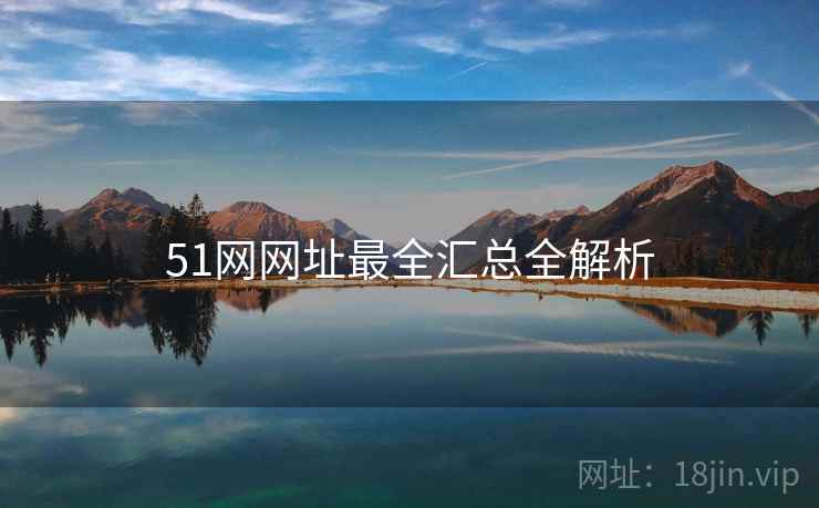 51网网址最全汇总全解析