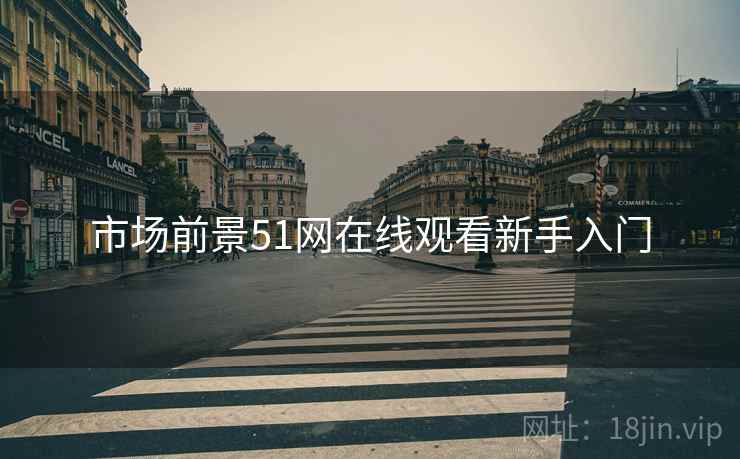 市场前景51网在线观看新手入门