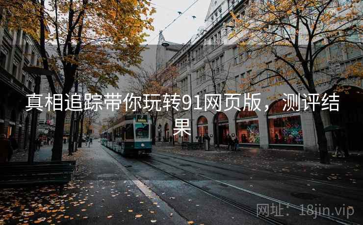 真相追踪带你玩转91网页版，测评结果
