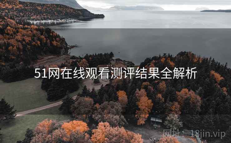 51网在线观看测评结果全解析