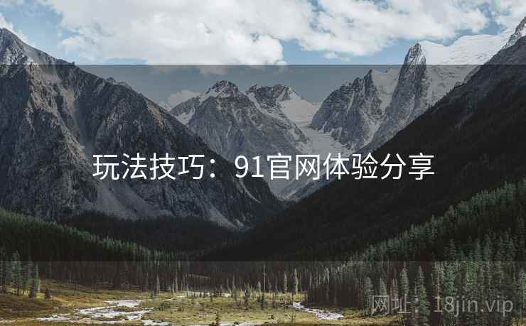 玩法技巧：91官网体验分享