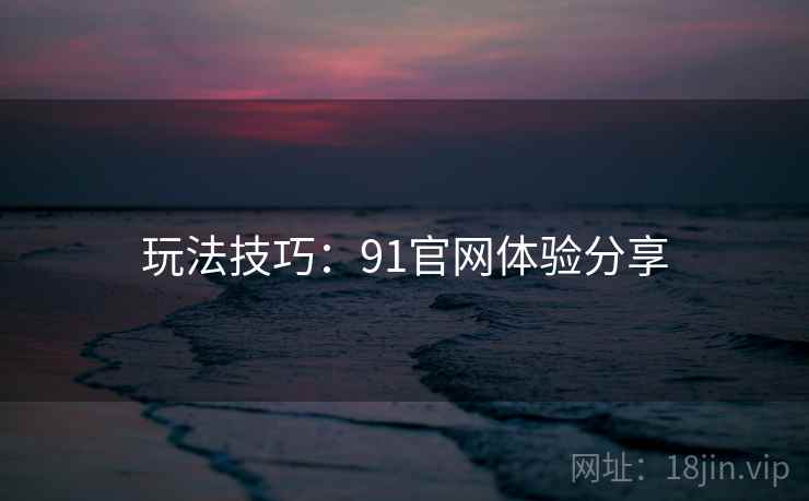 玩法技巧：91官网体验分享