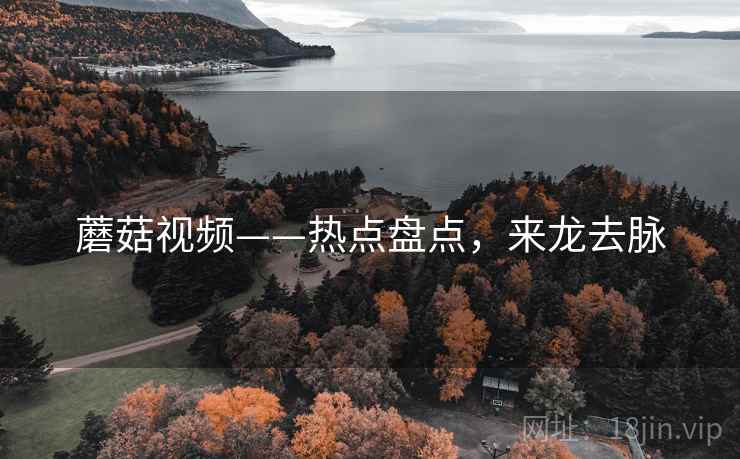 蘑菇视频——热点盘点，来龙去脉