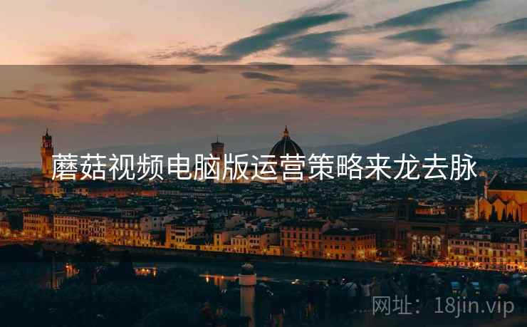蘑菇视频电脑版运营策略来龙去脉
