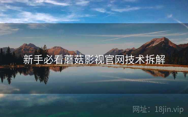 新手必看蘑菇影视官网技术拆解