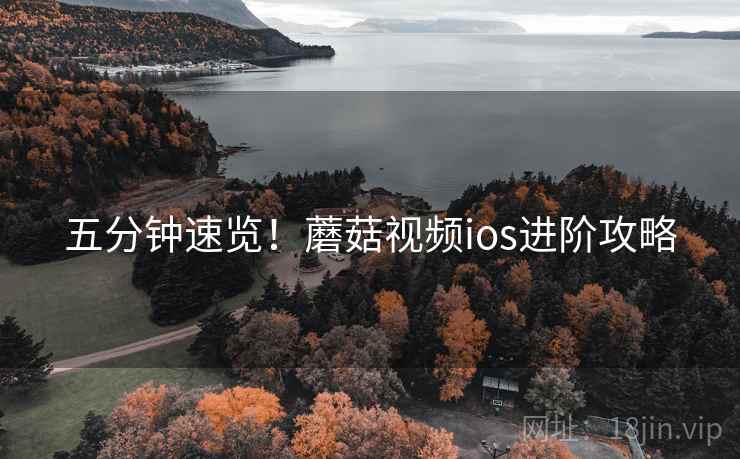 五分钟速览！蘑菇视频ios进阶攻略