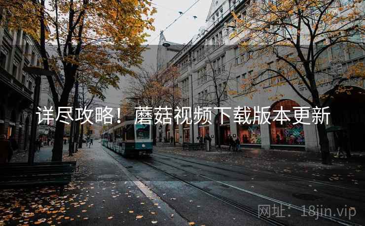 详尽攻略！蘑菇视频下载版本更新