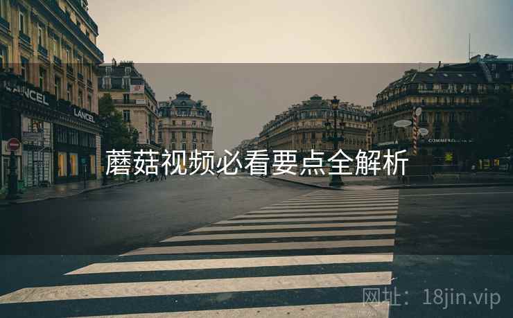 蘑菇视频必看要点全解析