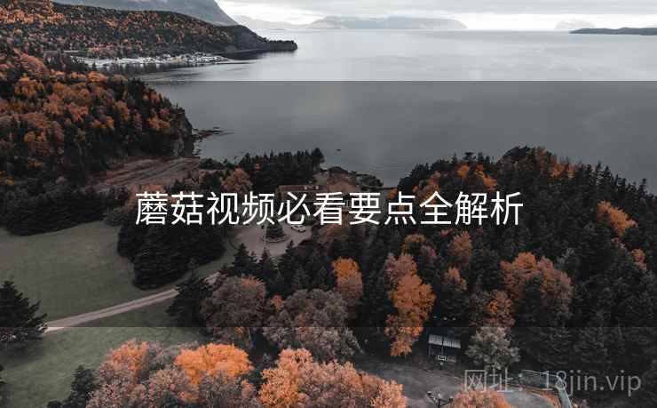 蘑菇视频必看要点全解析