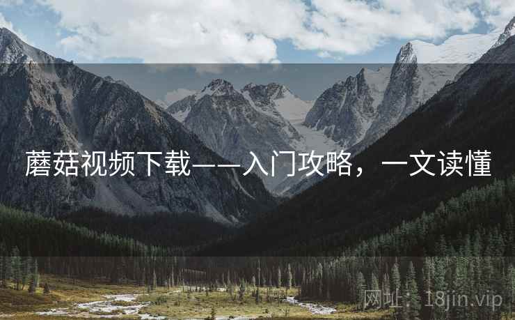 蘑菇视频下载——入门攻略，一文读懂