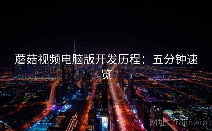 蘑菇视频电脑版开发历程：五分钟速览