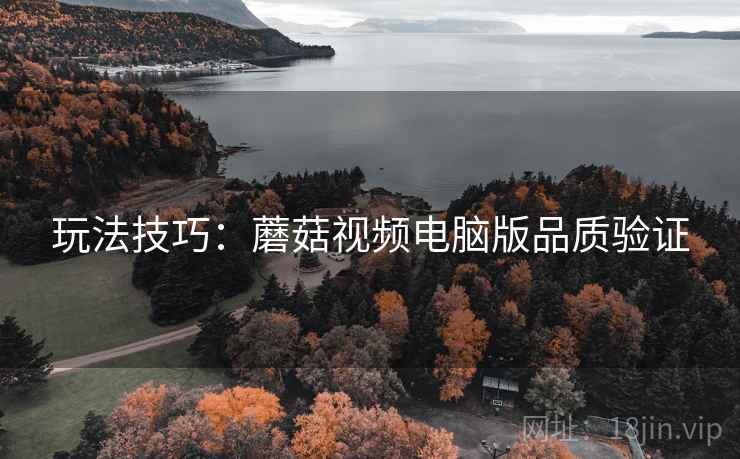 玩法技巧：蘑菇视频电脑版品质验证